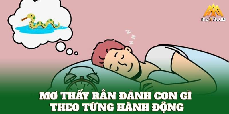 Mơ thấy rắn đánh con gì theo từng hành động